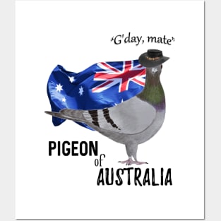 Pigeon of Australia Greeting Posters and Art